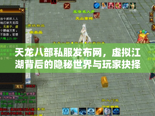 天龙八部私服发布网，虚拟江湖背后的隐秘世界与玩家抉择
