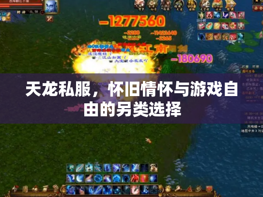 天龙私服，怀旧情怀与游戏自由的另类选择