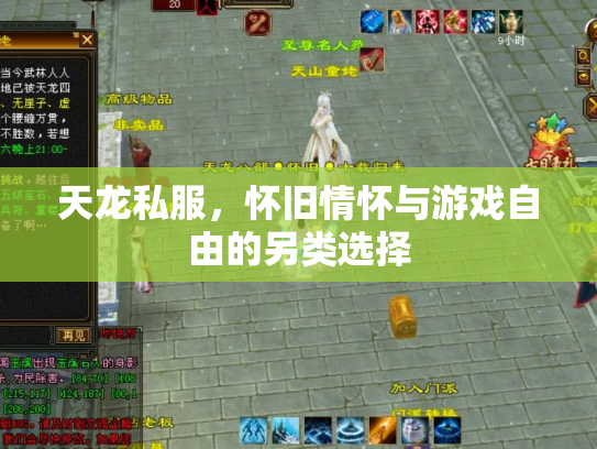 天龙私服，怀旧情怀与游戏自由的另类选择
