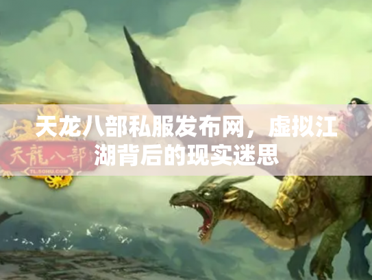 天龙八部私服发布网，虚拟江湖背后的现实迷思