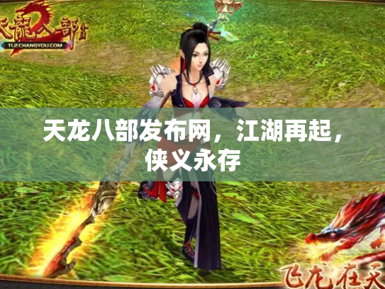天龙八部发布网，江湖再起，侠义永存