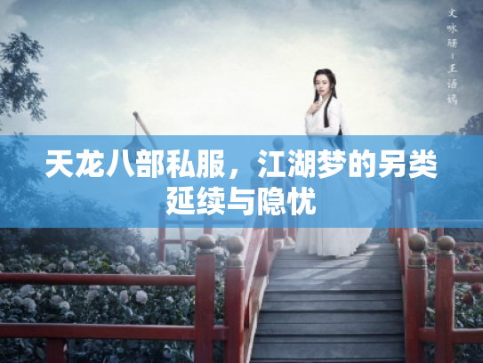 天龙八部私服，江湖梦的另类延续与隐忧
