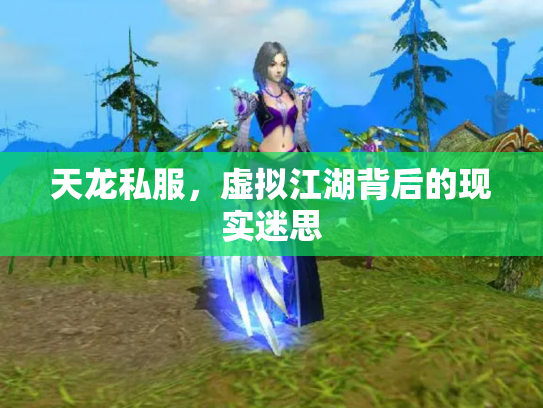 天龙私服，虚拟江湖背后的现实迷思