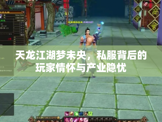 天龙江湖梦未央，私服背后的玩家情怀与产业隐忧