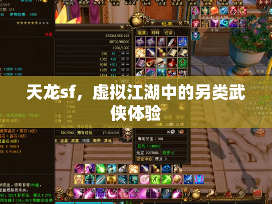 天龙sf，虚拟江湖中的另类武侠体验