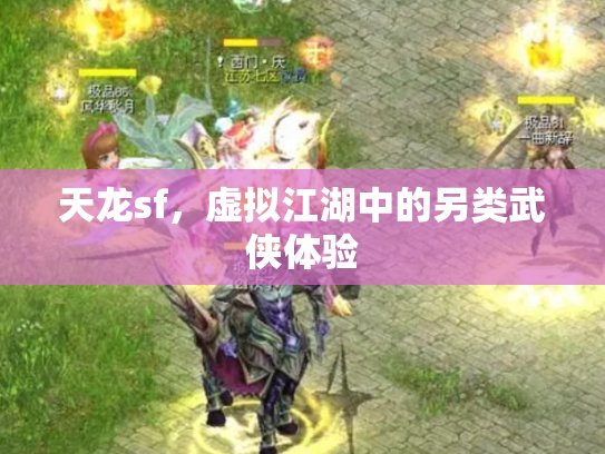 天龙sf，虚拟江湖中的另类武侠体验