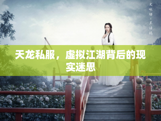 天龙私服，虚拟江湖背后的现实迷思