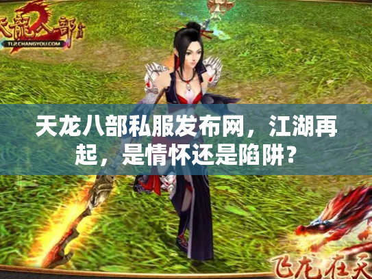 天龙八部私服发布网，江湖再起，是情怀还是陷阱？