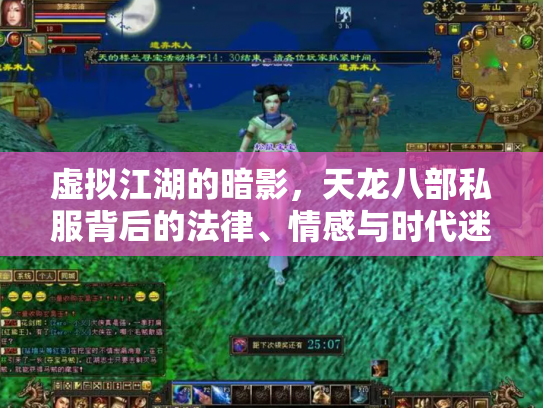 虚拟江湖的暗影，天龙八部私服背后的法律、情感与时代迷思