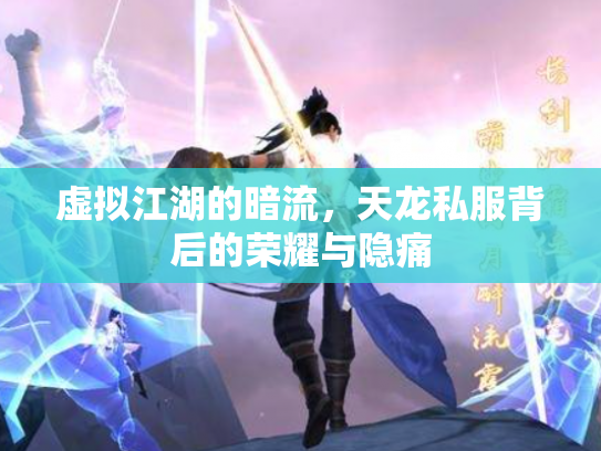 虚拟江湖的暗流，天龙私服背后的荣耀与隐痛