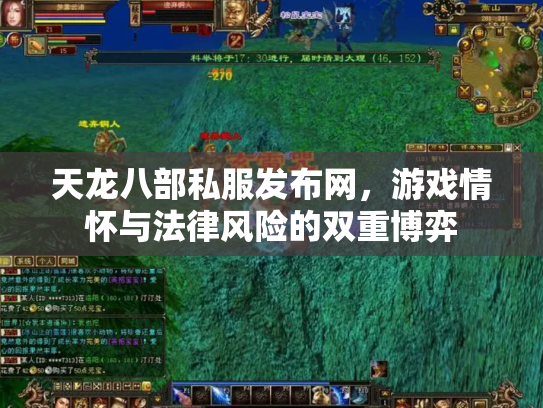 天龙八部私服发布网，游戏情怀与法律风险的双重博弈