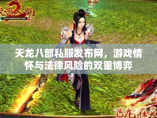 天龙八部私服发布网，游戏情怀与法律风险的双重博弈