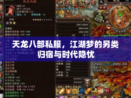 天龙八部私服，江湖梦的另类归宿与时代隐忧