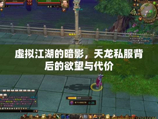 虚拟江湖的暗影，天龙私服背后的欲望与代价