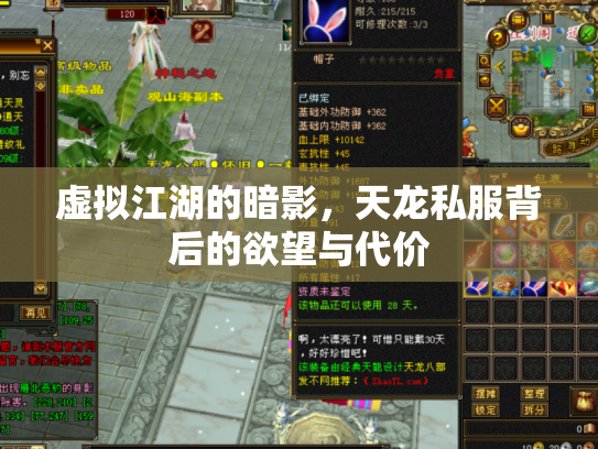 虚拟江湖的暗影，天龙私服背后的欲望与代价
