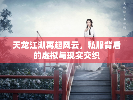 天龙江湖再起风云，私服背后的虚拟与现实交织