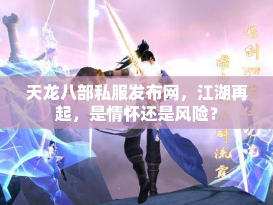 天龙八部私服发布网，江湖再起，是情怀还是风险？