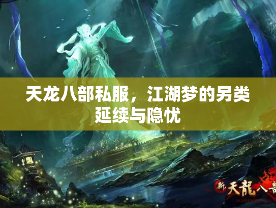 天龙八部私服，江湖梦的另类延续与隐忧