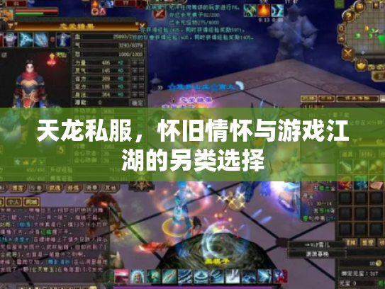天龙私服，怀旧情怀与游戏江湖的另类选择