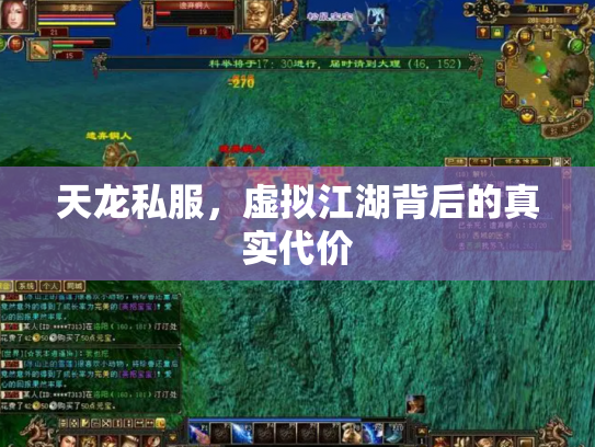 天龙私服，虚拟江湖背后的真实代价