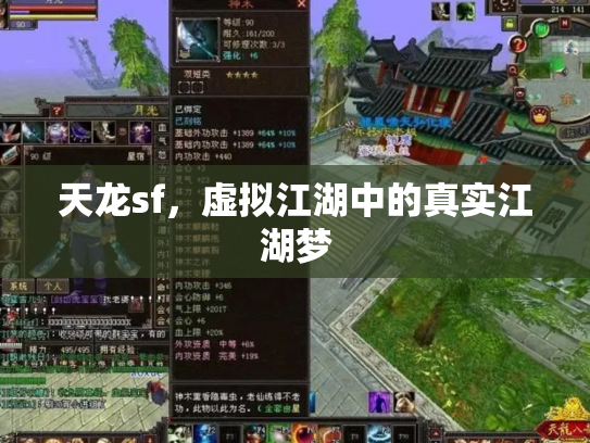 天龙sf，虚拟江湖中的真实江湖梦
