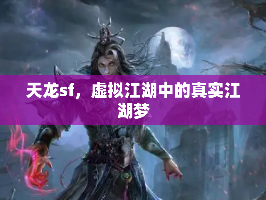 天龙sf，虚拟江湖中的真实江湖梦