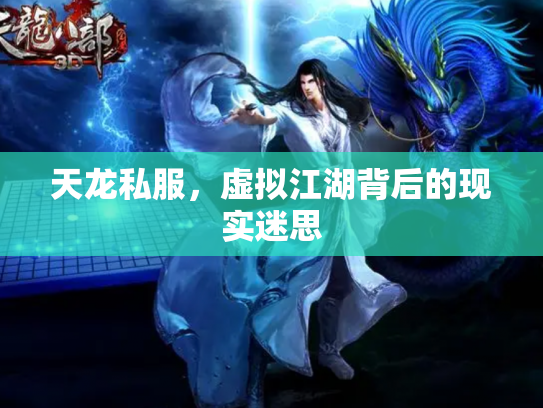 天龙私服，虚拟江湖背后的现实迷思