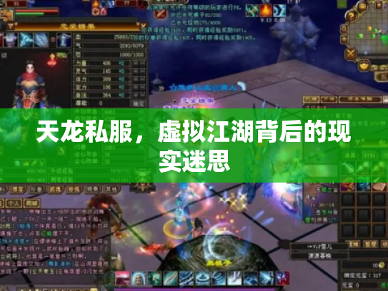 天龙私服，虚拟江湖背后的现实迷思