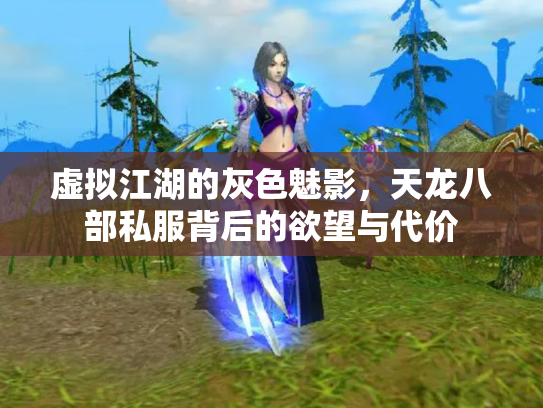 虚拟江湖的灰色魅影，天龙八部私服背后的欲望与代价