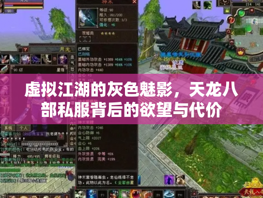 虚拟江湖的灰色魅影，天龙八部私服背后的欲望与代价