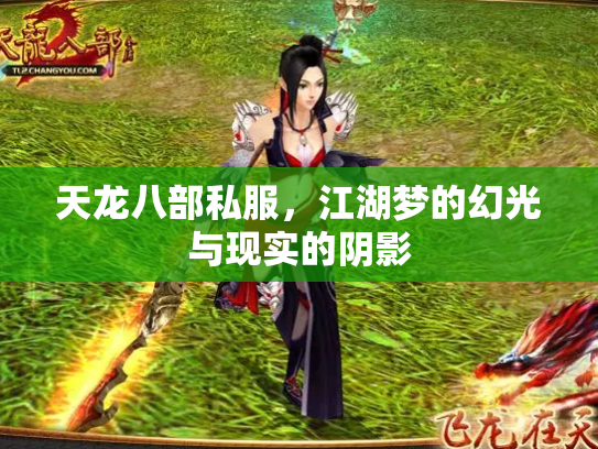 天龙八部私服，江湖梦的幻光与现实的阴影