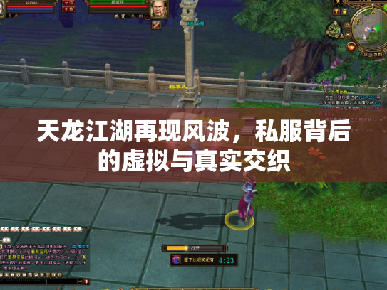 天龙江湖再现风波，私服背后的虚拟与真实交织
