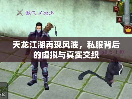 天龙江湖再现风波，私服背后的虚拟与真实交织