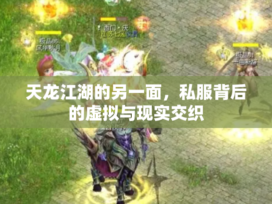 天龙江湖的另一面，私服背后的虚拟与现实交织