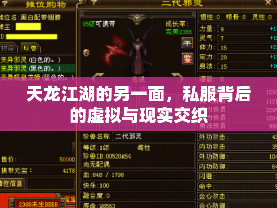 天龙江湖的另一面，私服背后的虚拟与现实交织