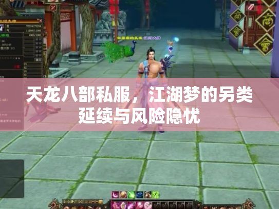 天龙八部私服，江湖梦的另类延续与风险隐忧