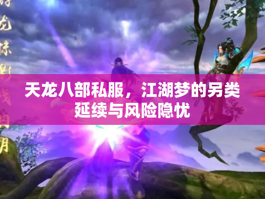 天龙八部私服，江湖梦的另类延续与风险隐忧