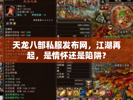 天龙八部私服发布网，江湖再起，是情怀还是陷阱？