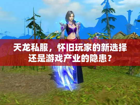 天龙私服，怀旧玩家的新选择还是游戏产业的隐患？