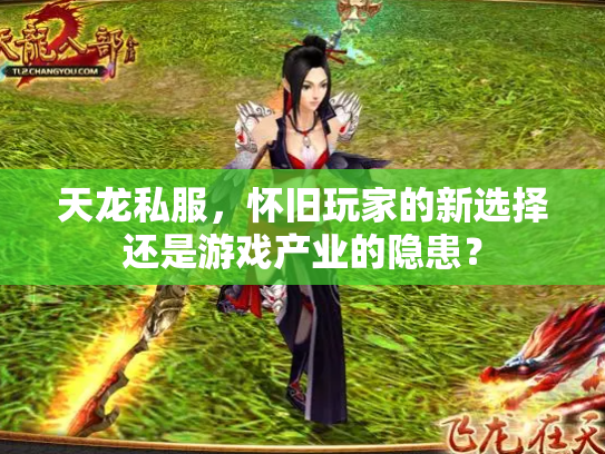 天龙私服，怀旧玩家的新选择还是游戏产业的隐患？