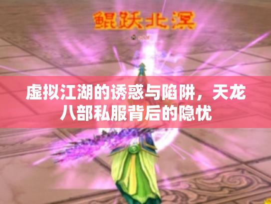 虚拟江湖的诱惑与陷阱，天龙八部私服背后的隐忧