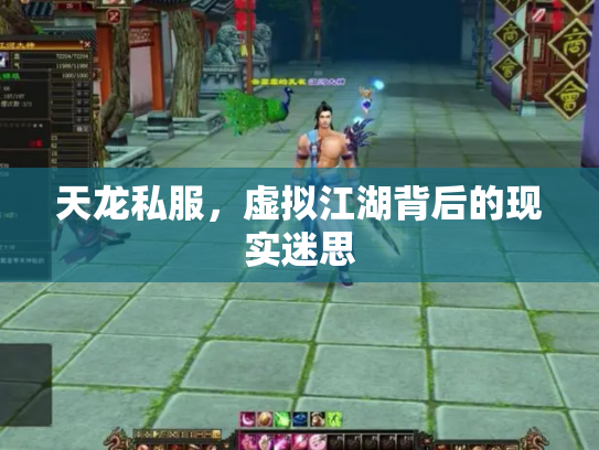天龙私服，虚拟江湖背后的现实迷思