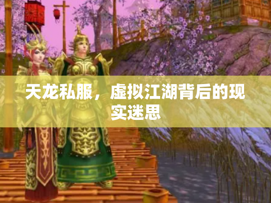 天龙私服，虚拟江湖背后的现实迷思