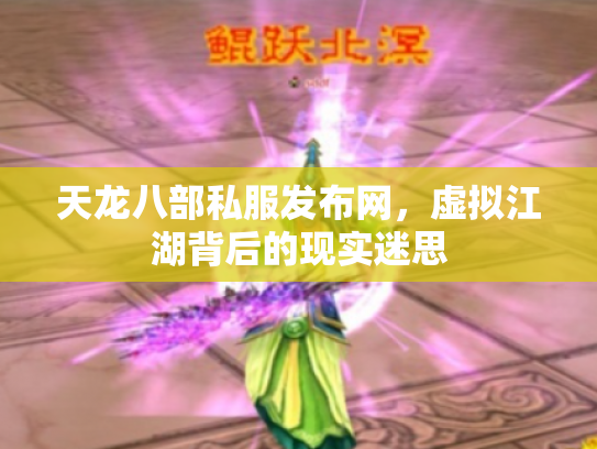 天龙八部私服发布网，虚拟江湖背后的现实迷思