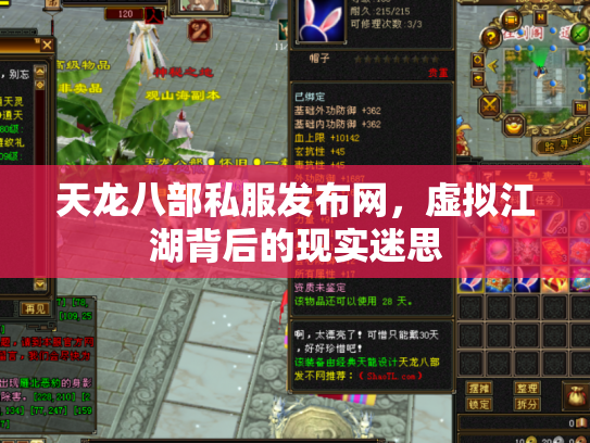天龙八部私服发布网，虚拟江湖背后的现实迷思