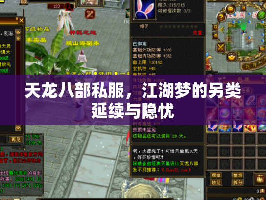 天龙八部私服，江湖梦的另类延续与隐忧