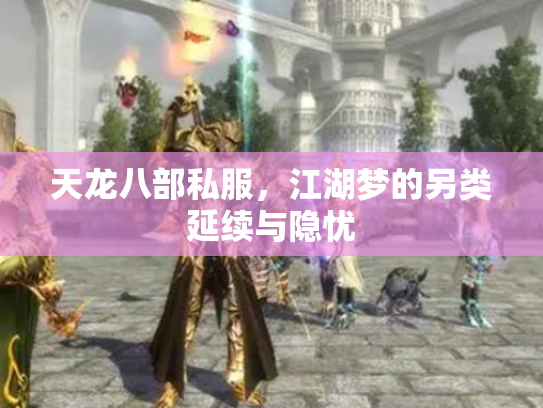 天龙八部私服，江湖梦的另类延续与隐忧