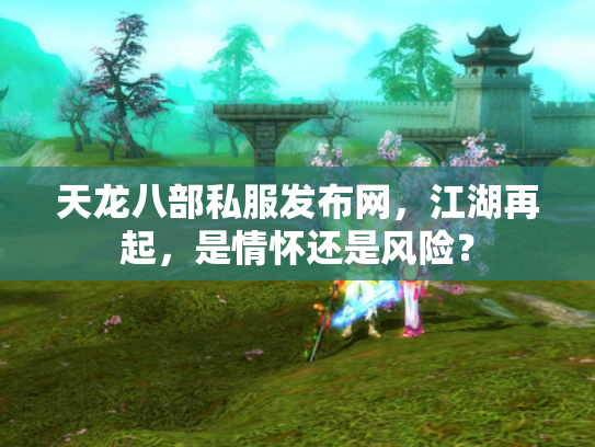 天龙八部私服发布网，江湖再起，是情怀还是风险？