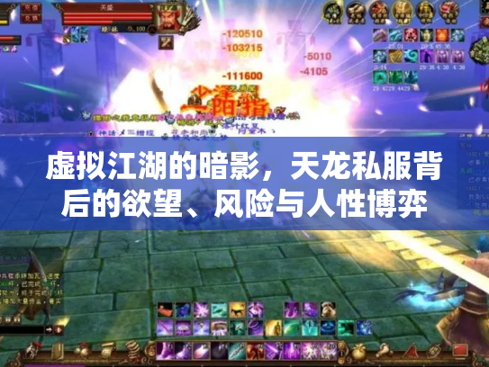 虚拟江湖的暗影，天龙私服背后的欲望、风险与人性博弈