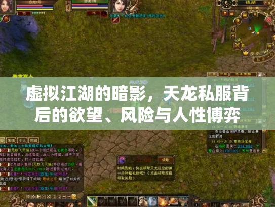 虚拟江湖的暗影，天龙私服背后的欲望、风险与人性博弈